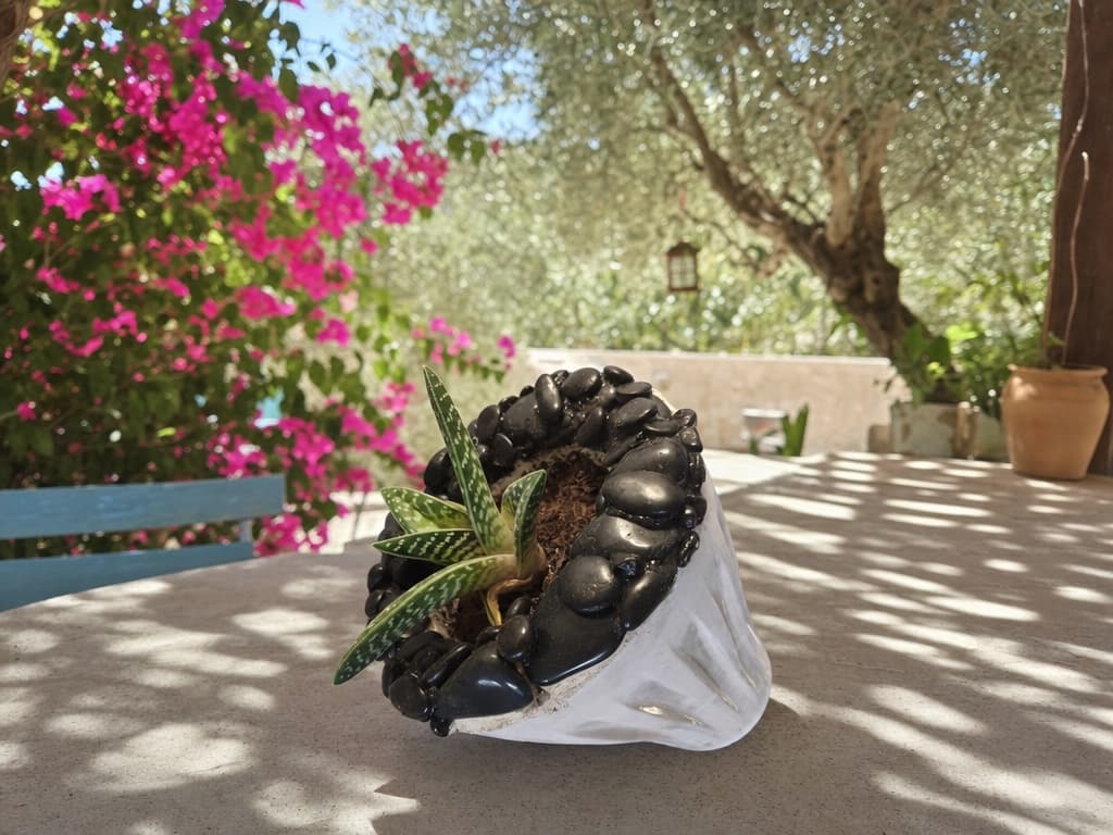יצירת אמנות שונית הבית - יצירה 14 - 1